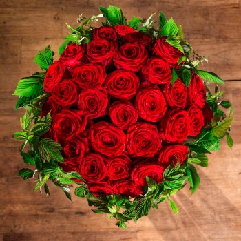 Rose du Désert - Floraison rouge - Vente en ligne au meilleur prix