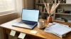 Bureau avec ordinateur portable, documents et décoration végétale