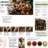 Comment éradiquer des moucherons dans une cuisine : Astuces
