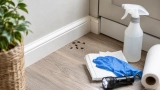 Crotte de Souris ou Rat 🐭: Comment reconnaître Rongeurs ?